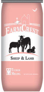 FarmCrest Sheep & Lamb