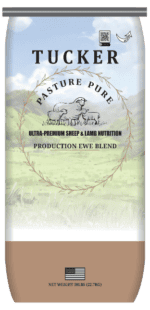 Pasture Pure Production Ewe Blend