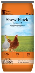 Show Flock Layer 17