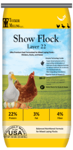 Show Flock Layer 22